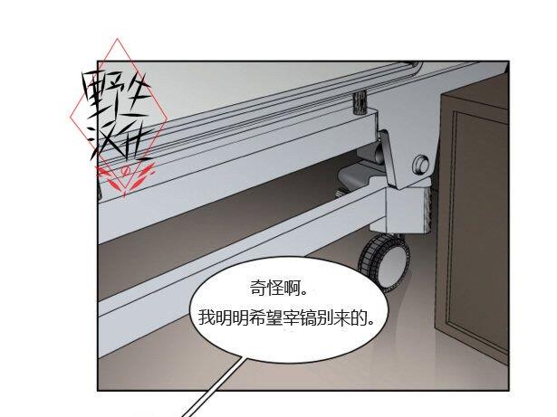 被驯服的遗产[耽美]韩漫全集-第39话无删减无遮挡章节图片 