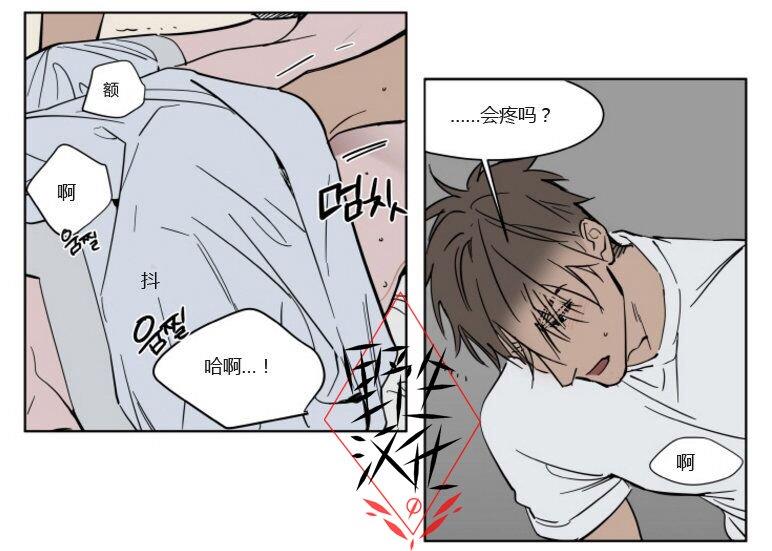 被驯服的遗产[耽美]韩漫全集-第39话无删减无遮挡章节图片 