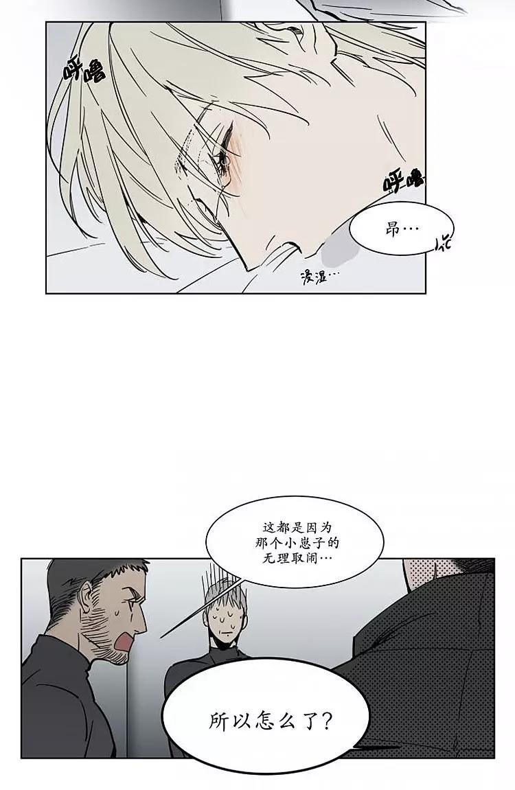被驯服的遗产[耽美]韩漫全集-番外01无删减无遮挡章节图片 