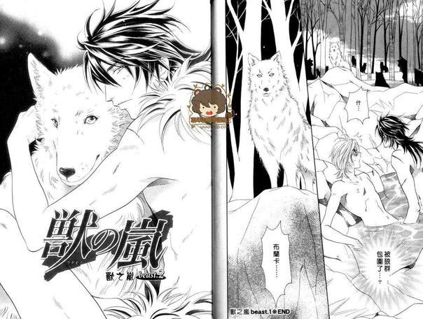 兽之岚[耽美]韩漫全集-第1卷无删减无遮挡章节图片 