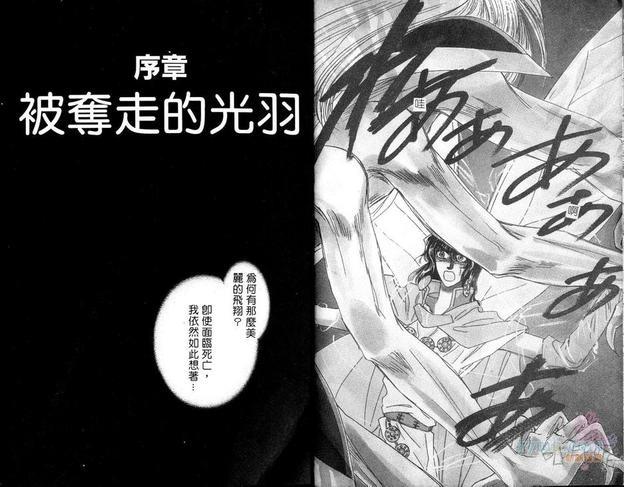 梦幻的翅膀[耽美]韩漫全集-第1卷无删减无遮挡章节图片 