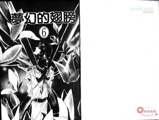 梦幻的翅膀[耽美]韩漫全集-第6卷无删减无遮挡章节图片 