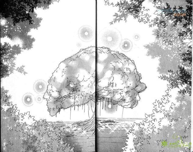 梦幻的翅膀[耽美]韩漫全集-第8卷无删减无遮挡章节图片 