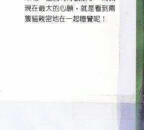 我爱贵公子[耽美]韩漫全集-第1卷无删减无遮挡章节图片 