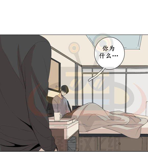 路的彼岸[耽美]韩漫全集-第19话无删减无遮挡章节图片 