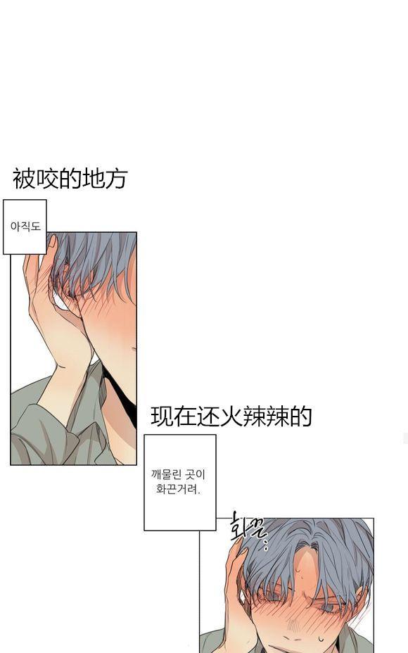 路的彼岸[耽美]韩漫全集-第37话无删减无遮挡章节图片 