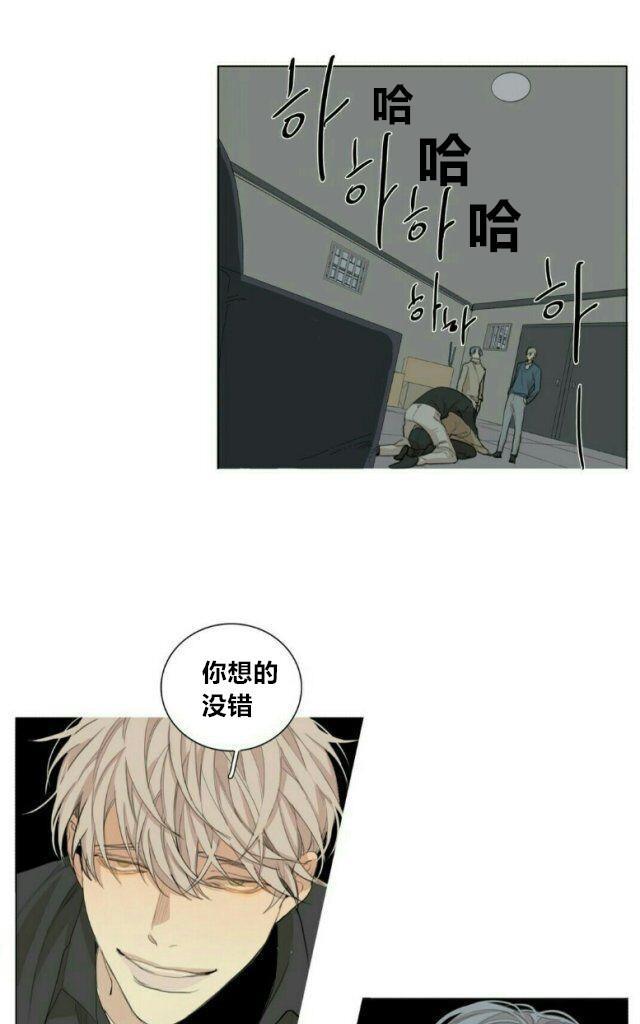 路的彼岸[耽美]韩漫全集-第56话无删减无遮挡章节图片 