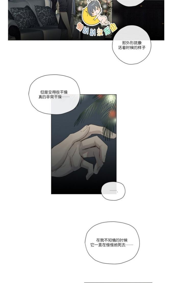 皇家执事[耽美]韩漫全集-第21话无删减无遮挡章节图片 