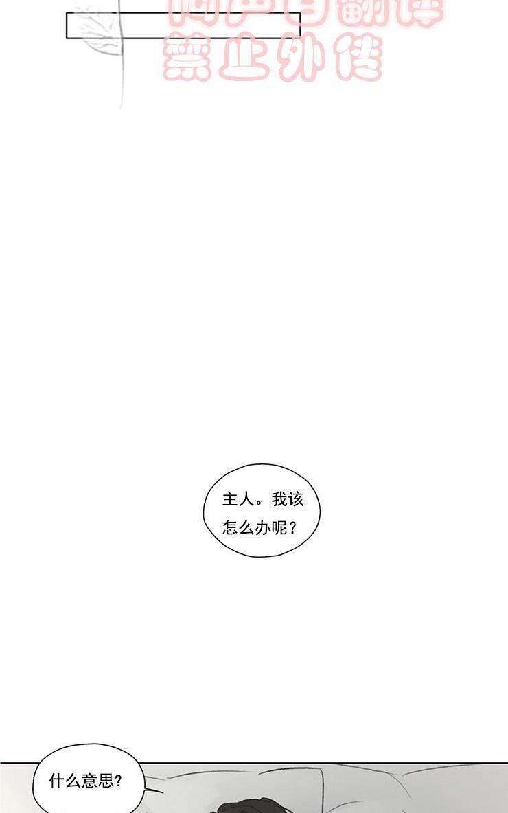 皇家执事[耽美]韩漫全集-第54话无删减无遮挡章节图片 