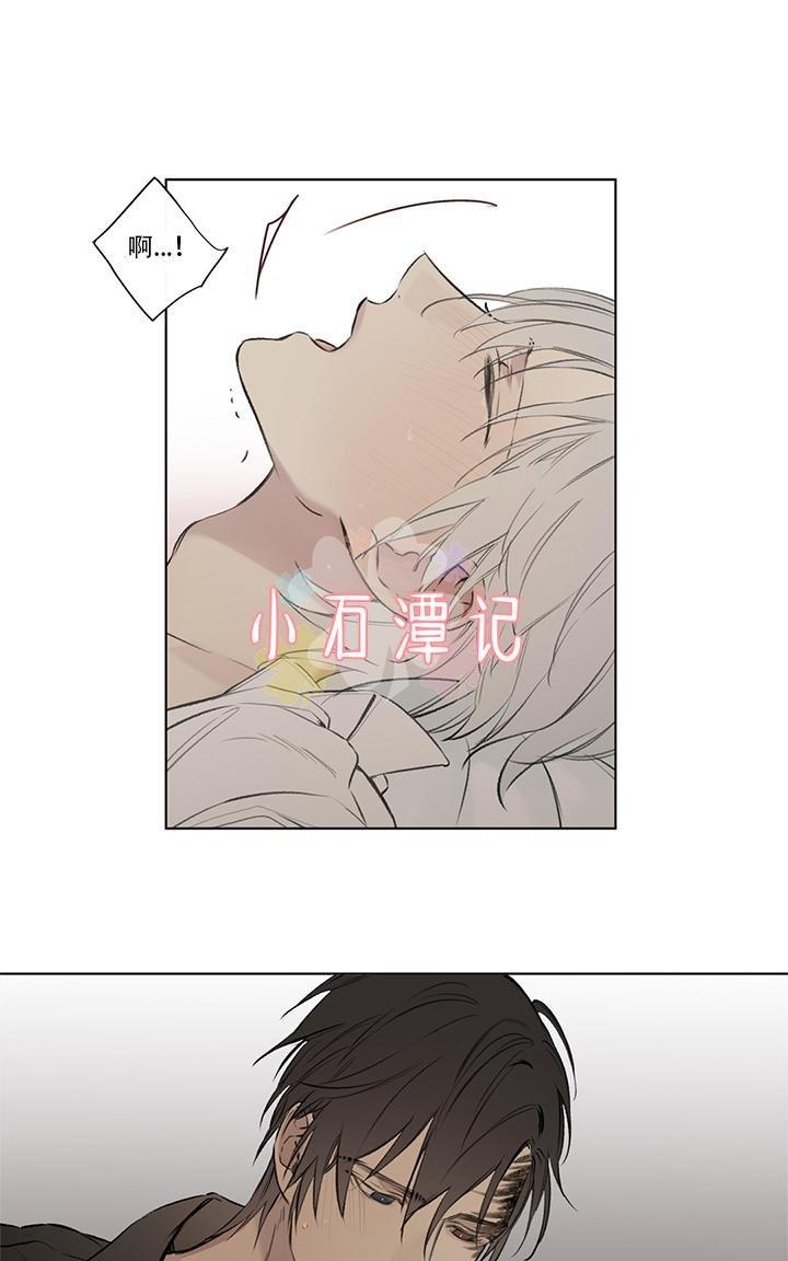 皇家执事[耽美]韩漫全集-第64话无删减无遮挡章节图片 