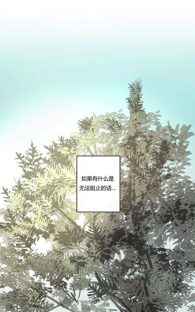 皇家执事[耽美]韩漫全集-第71话无删减无遮挡章节图片 