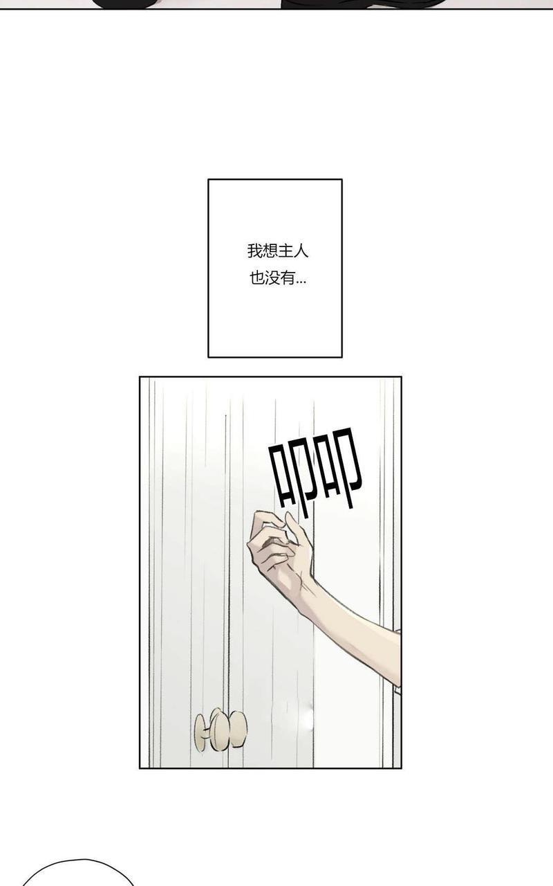 皇家执事[耽美]韩漫全集-第74话无删减无遮挡章节图片 