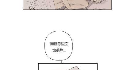 皇家执事[耽美]韩漫全集-第75话无删减无遮挡章节图片 
