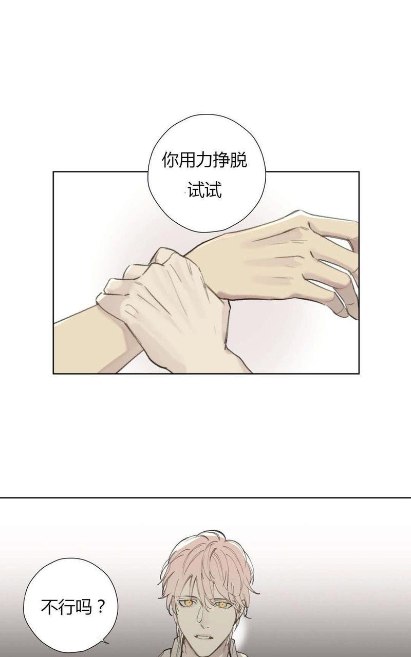 皇家执事[耽美]韩漫全集-第78-81话完结无删减无遮挡章节图片 