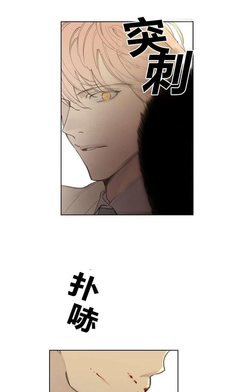 皇家执事[耽美]韩漫全集-第78-81话完结无删减无遮挡章节图片 