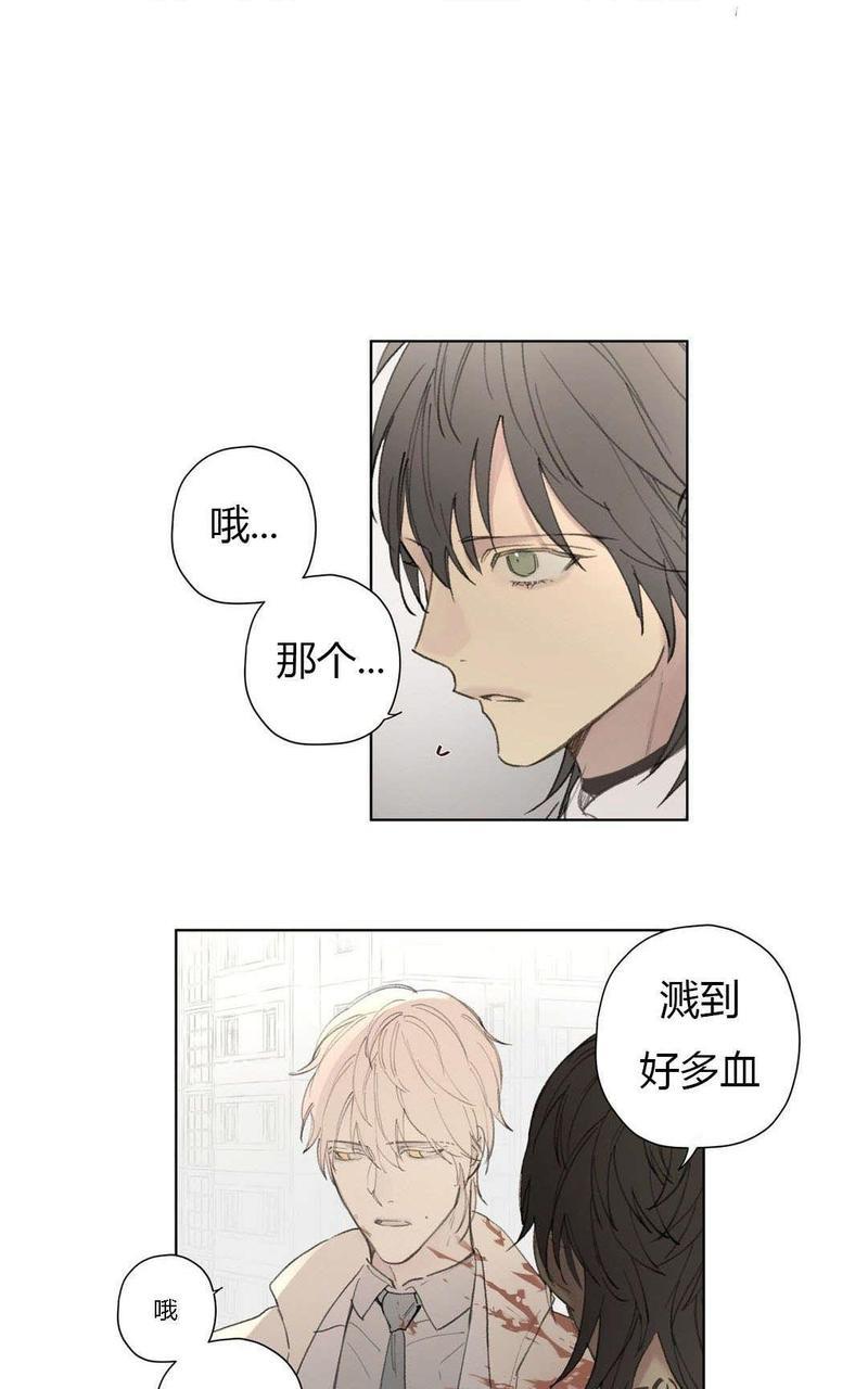 皇家执事[耽美]韩漫全集-第78-81话完结无删减无遮挡章节图片 