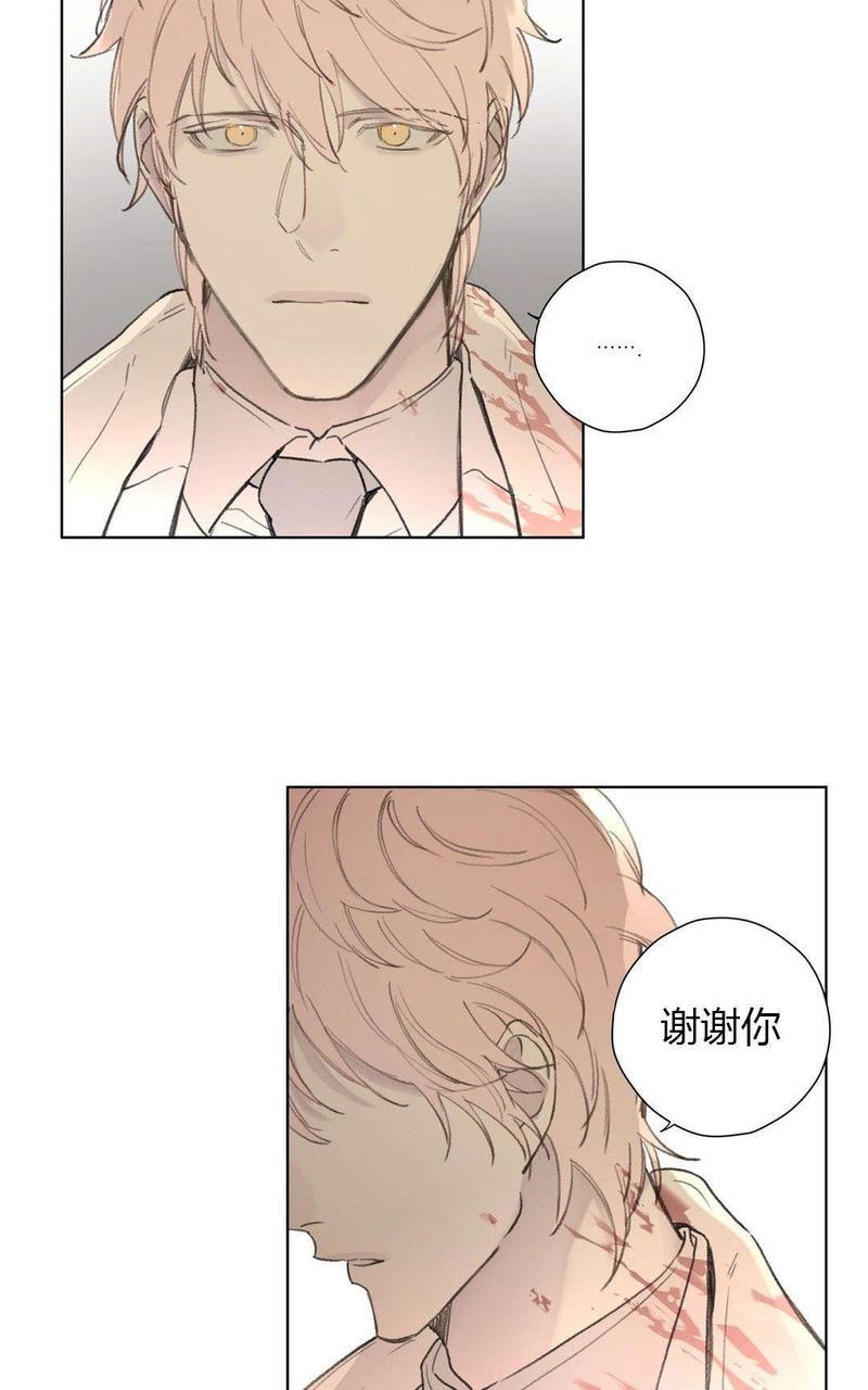 皇家执事[耽美]韩漫全集-第78-81话完结无删减无遮挡章节图片 