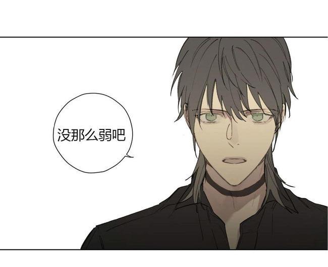 皇家执事[耽美]韩漫全集-第78-81话完结无删减无遮挡章节图片 
