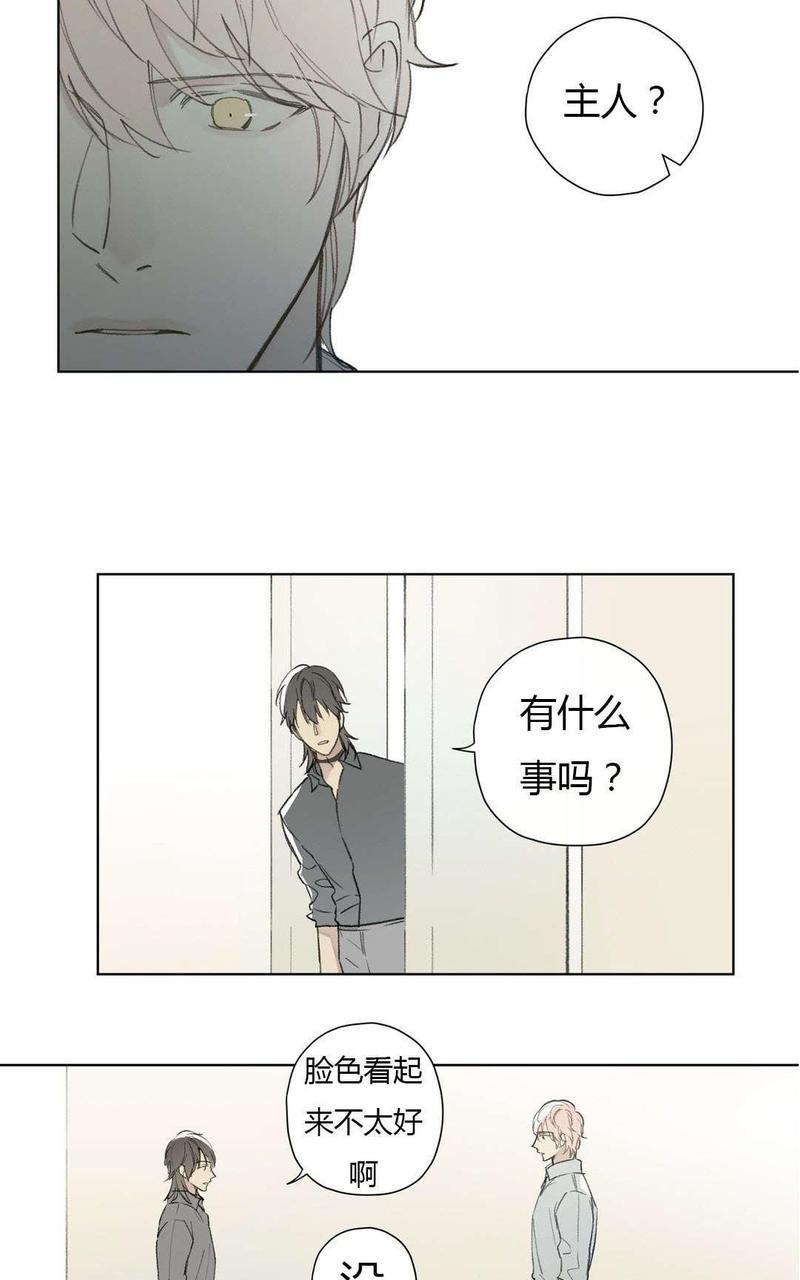 皇家执事[耽美]韩漫全集-第78-81话完结无删减无遮挡章节图片 