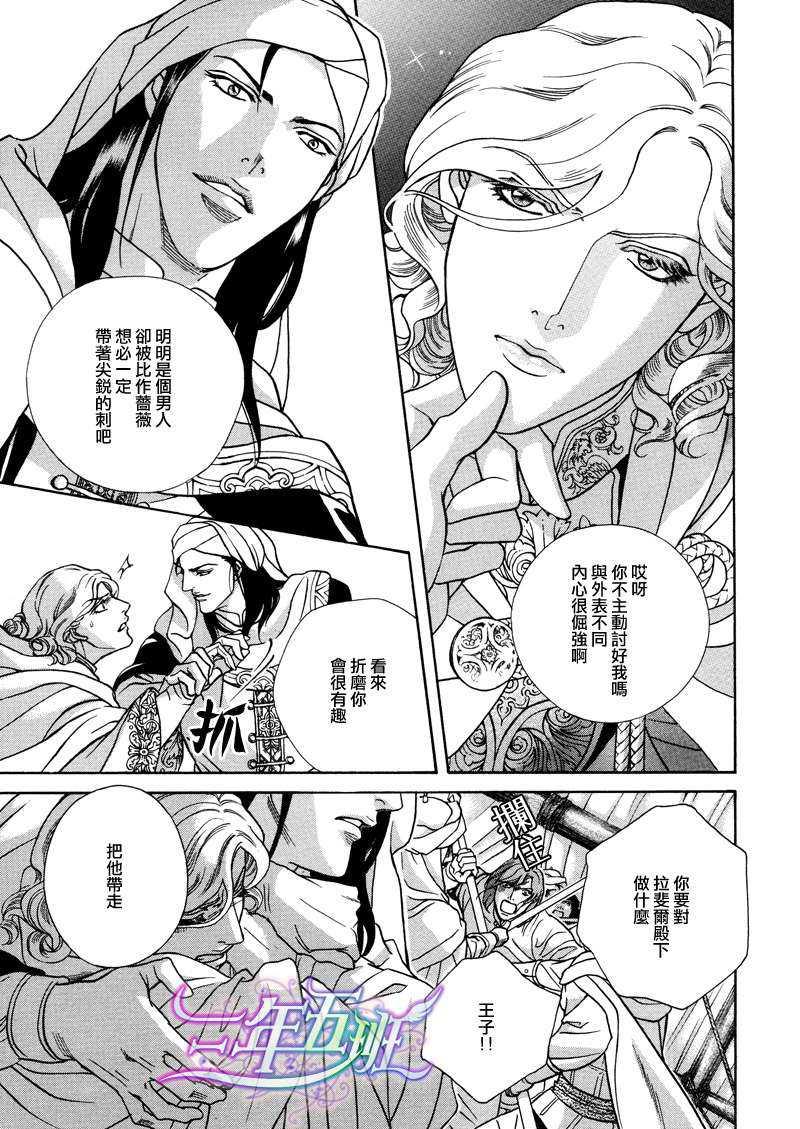 DesertRose-沙漠蔷薇-[阿拉伯特集][耽美]韩漫全集-第1话无删减无遮挡章节图片 