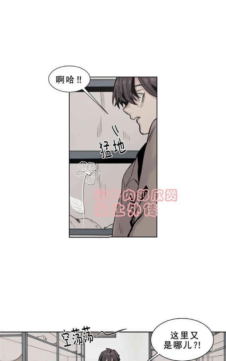 死亡之鸟的凝视[耽美]韩漫全集-第9话无删减无遮挡章节图片 