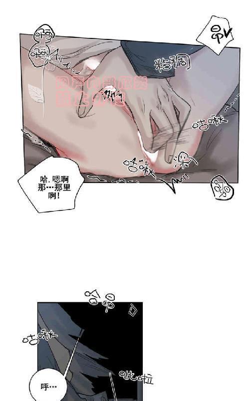死亡之鸟的凝视[耽美]韩漫全集-第15话无删减无遮挡章节图片 