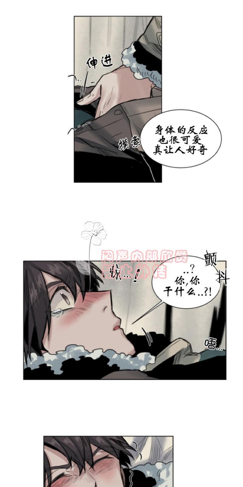 死亡之鸟的凝视[耽美]韩漫全集-第27-29话无删减无遮挡章节图片 