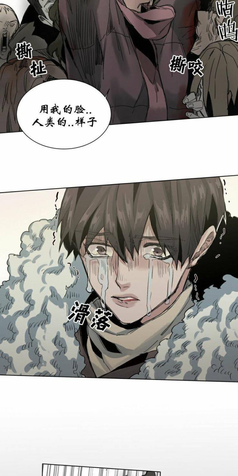 死亡之鸟的凝视[耽美]韩漫全集-第38话无删减无遮挡章节图片 
