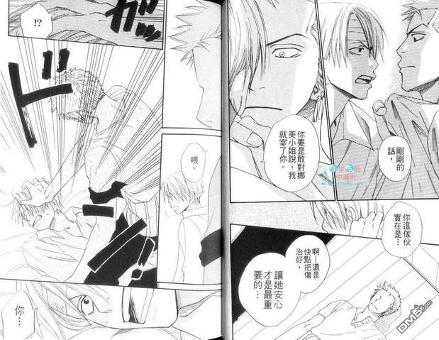 ISAKU航海王同人精选[耽美]韩漫全集-第1卷无删减无遮挡章节图片 