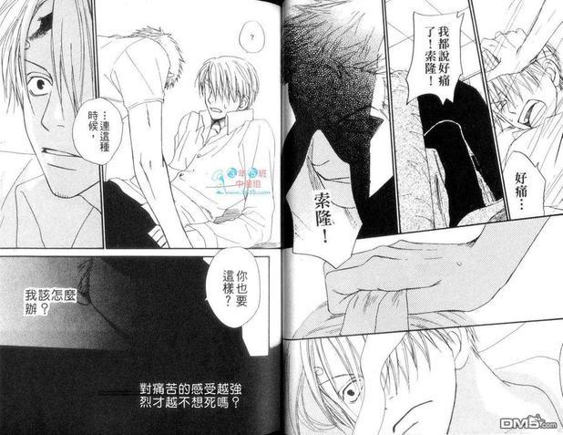 ISAKU航海王同人精选[耽美]韩漫全集-第1卷无删减无遮挡章节图片 