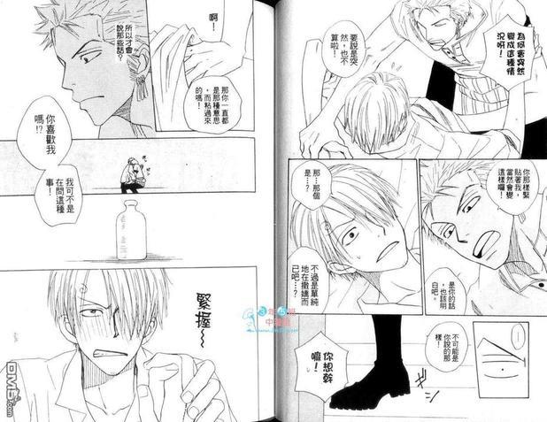 ISAKU航海王同人精选[耽美]韩漫全集-第3卷无删减无遮挡章节图片 