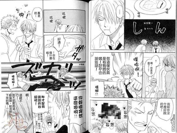 ISAKU航海王同人精选[耽美]韩漫全集-第5卷无删减无遮挡章节图片 