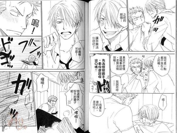 ISAKU航海王同人精选[耽美]韩漫全集-第5卷无删减无遮挡章节图片 
