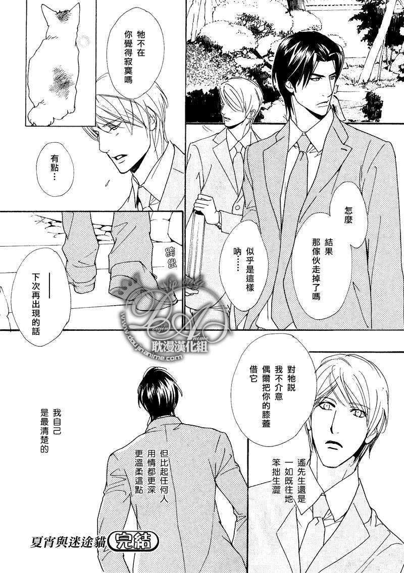 夏宵与迷途猫[耽美]韩漫全集-第1话无删减无遮挡章节图片 