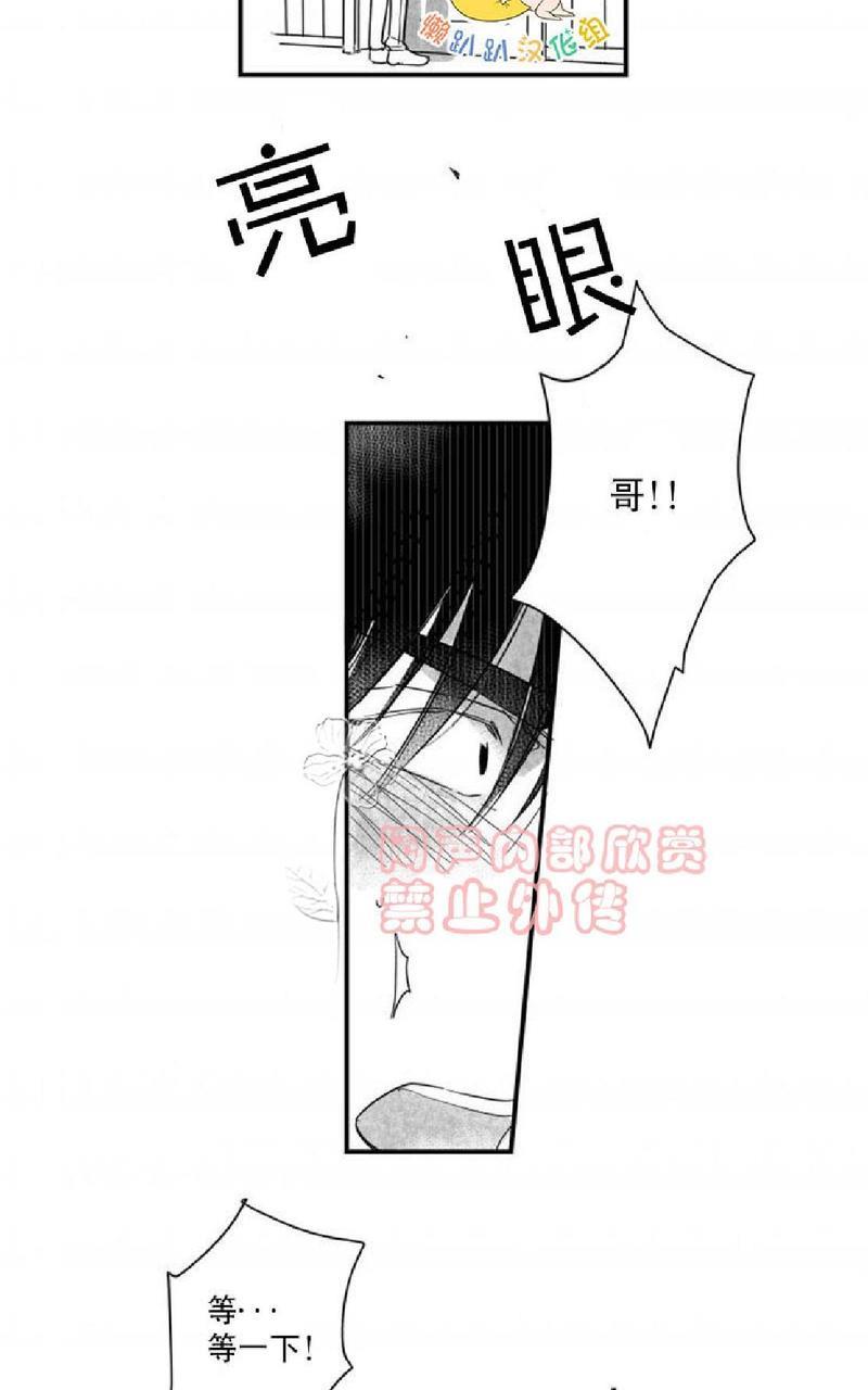 不可抗力的他[耽美]韩漫全集-番外2无删减无遮挡章节图片 