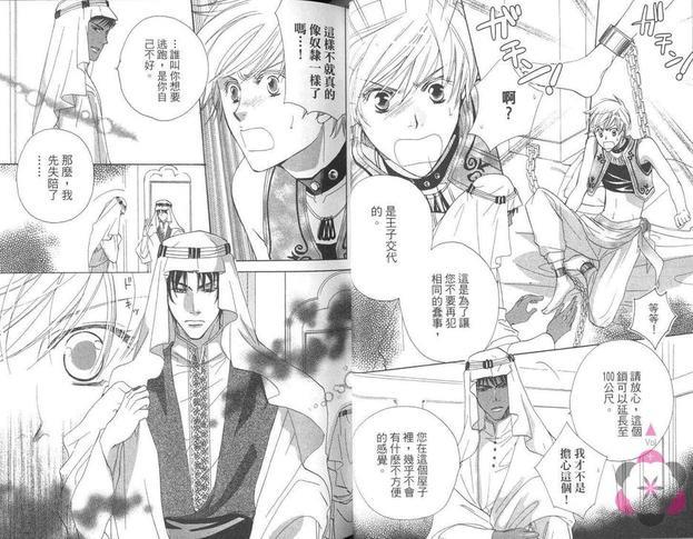 热砂之契~被囚禁在秘密绿洲~[耽美]韩漫全集-第1卷无删减无遮挡章节图片 