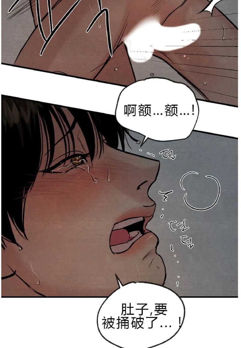野画集/夜春宫[耽美]韩漫全集-第49话无删减无遮挡章节图片 