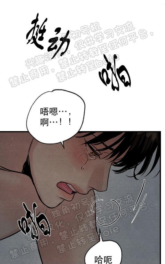 野画集/夜春宫[耽美]韩漫全集-第50话无删减无遮挡章节图片 