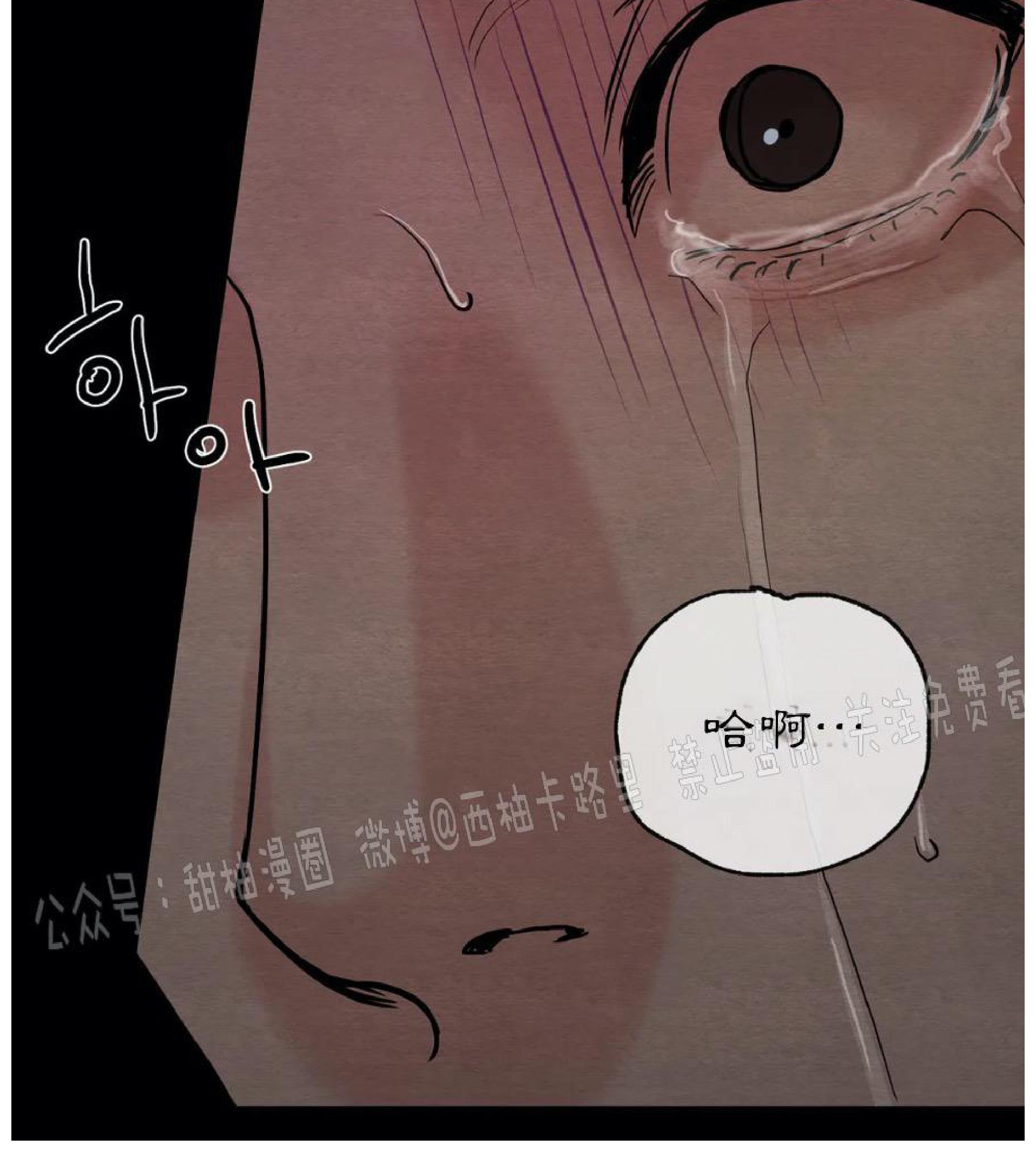 野画集/夜春宫[耽美]韩漫全集-第61话无删减无遮挡章节图片 