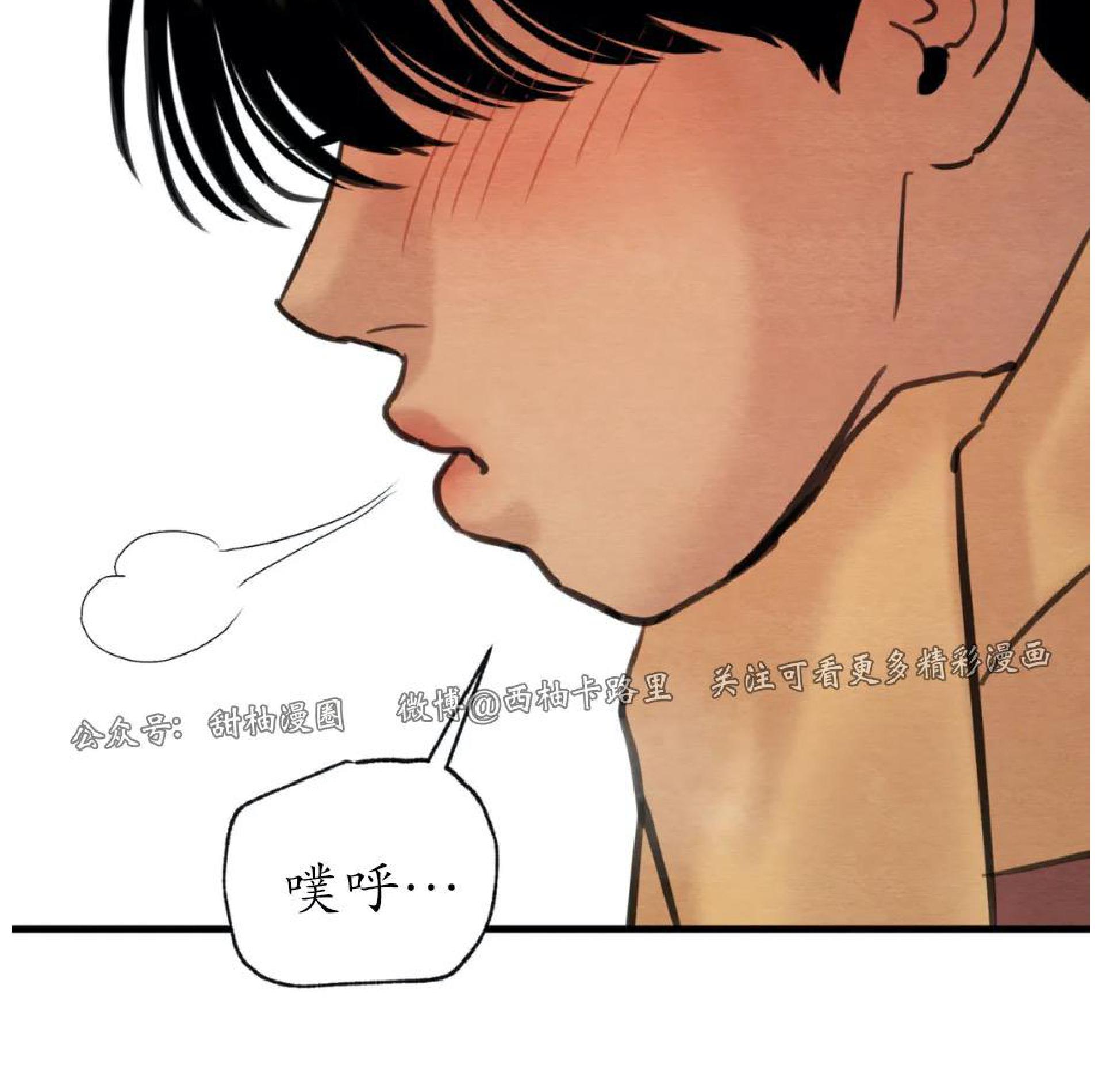 野画集/夜春宫[耽美]韩漫全集-第75话无删减无遮挡章节图片 