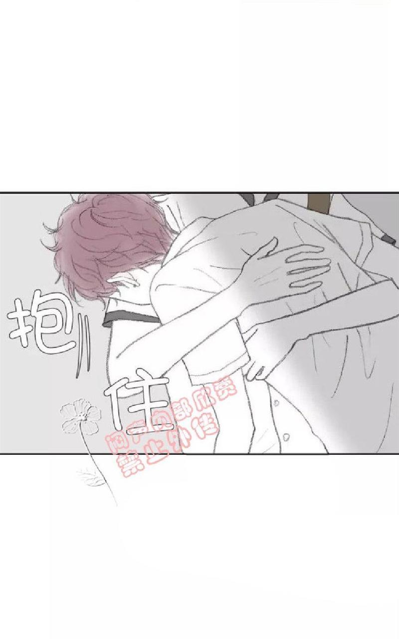 禁区[耽美]韩漫全集-第33话无删减无遮挡章节图片 
