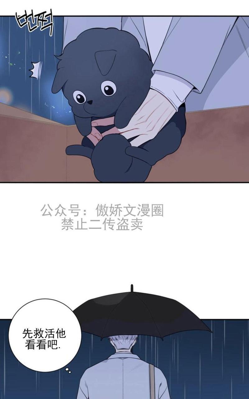 冬日后的樱花第三季[耽美]韩漫全集-外传一无删减无遮挡章节图片 