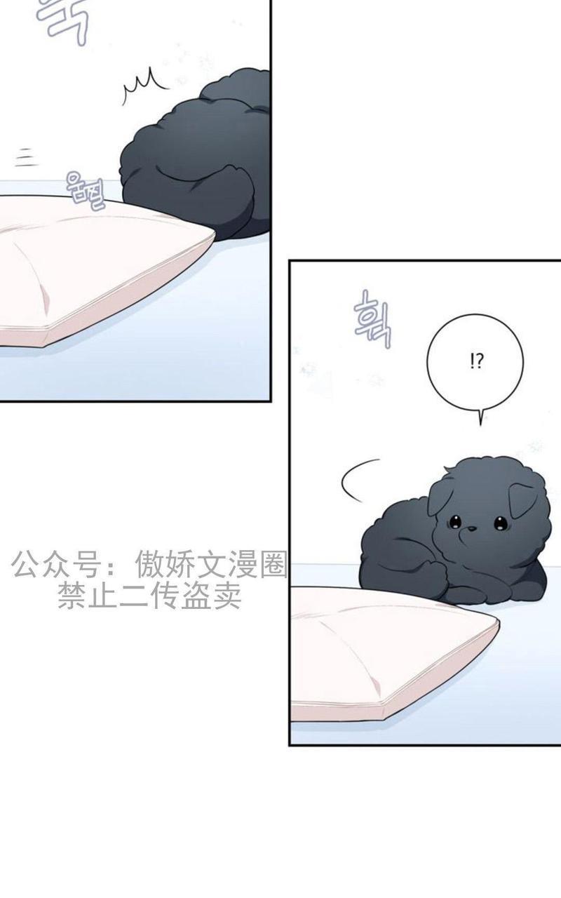 冬日后的樱花第三季[耽美]韩漫全集-外传一无删减无遮挡章节图片 