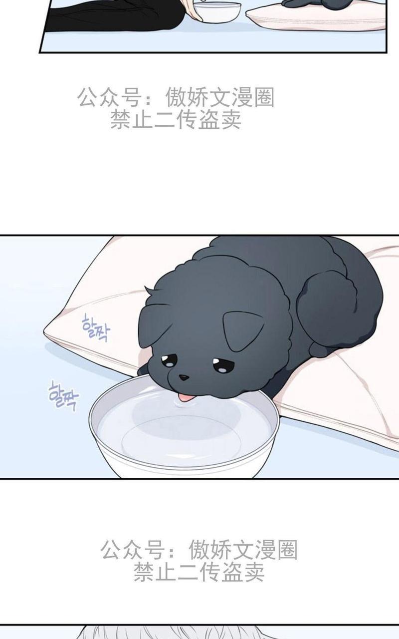冬日后的樱花第三季[耽美]韩漫全集-外传一无删减无遮挡章节图片 