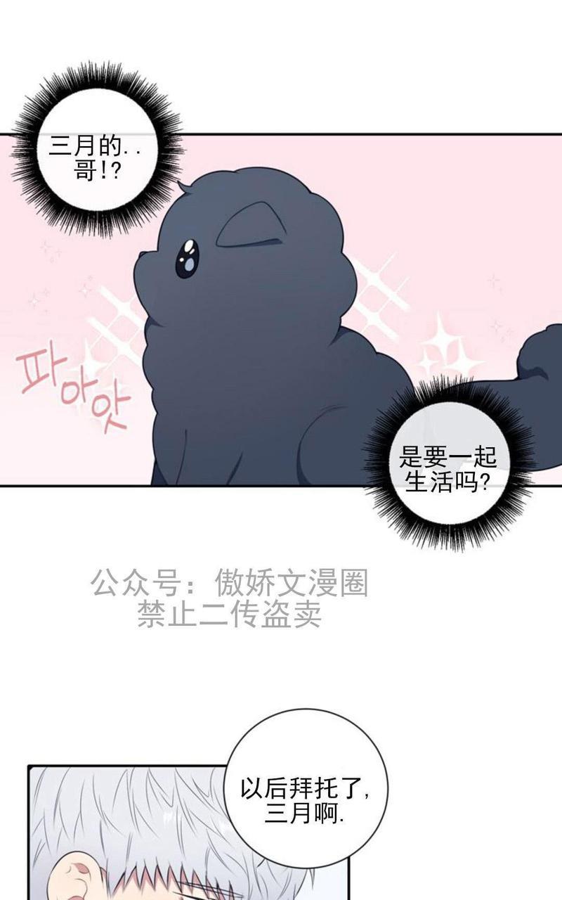 冬日后的樱花第三季[耽美]韩漫全集-外传一无删减无遮挡章节图片 