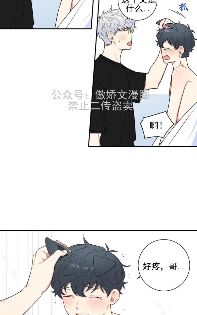 冬日后的樱花第三季[耽美]韩漫全集-外传二无删减无遮挡章节图片 