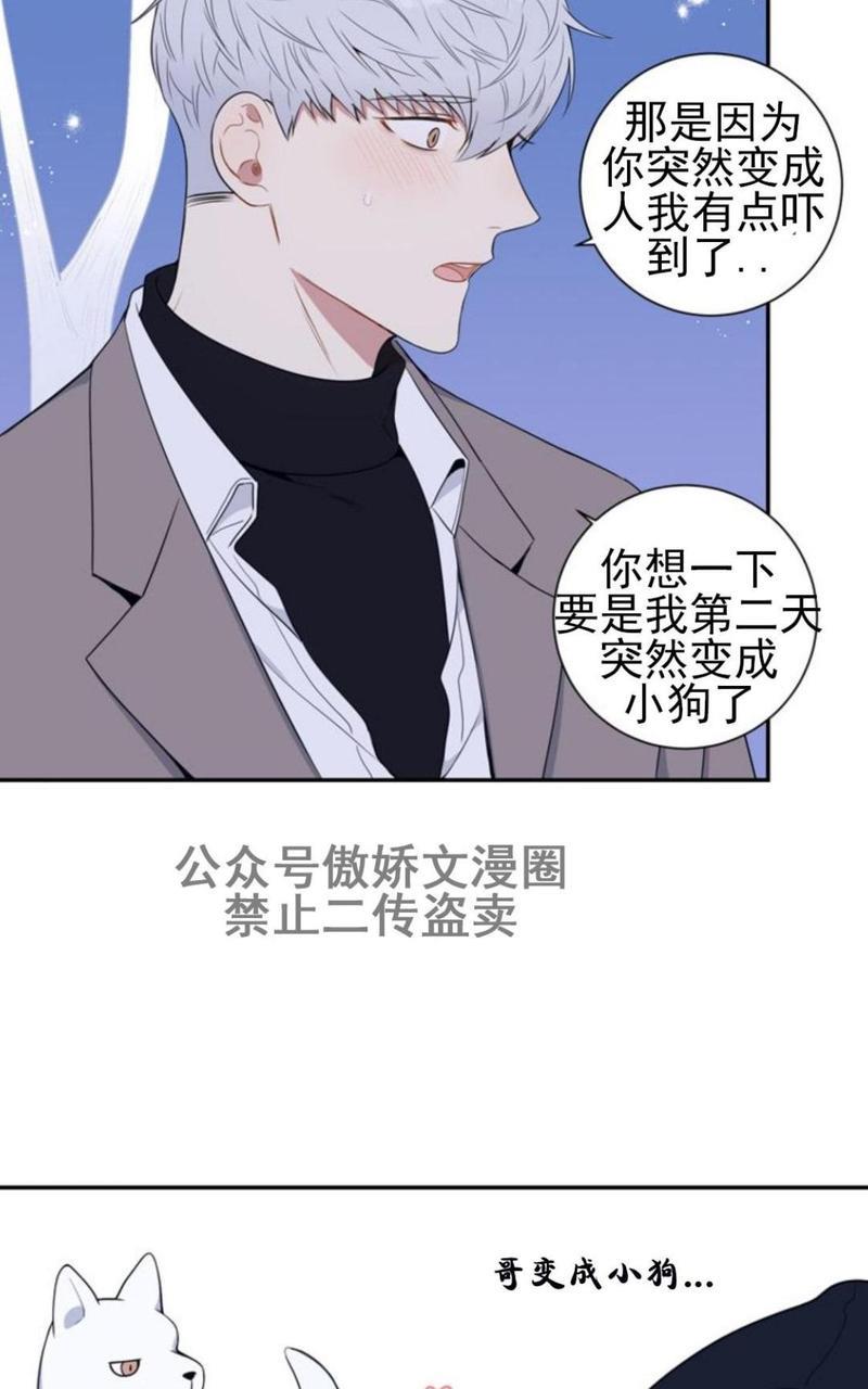 冬日后的樱花第三季[耽美]韩漫全集-外传三无删减无遮挡章节图片 