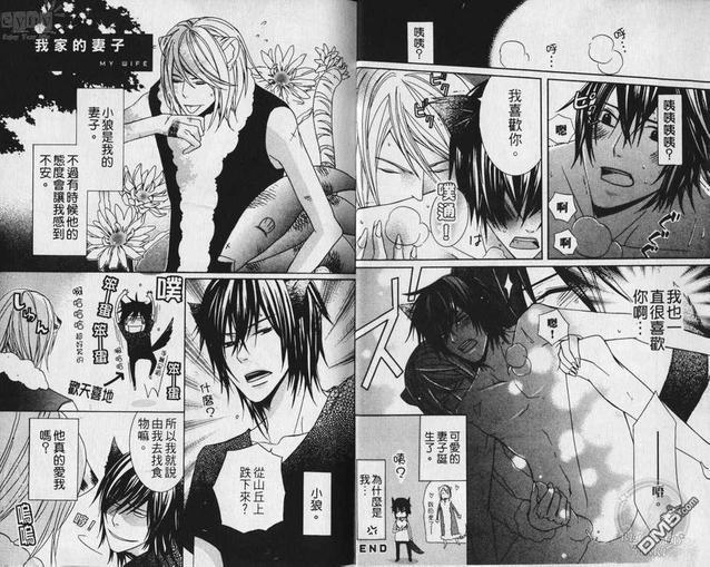 小虎与小狼[耽美]韩漫全集-第1卷无删减无遮挡章节图片 