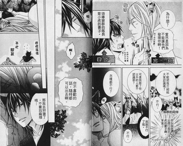 小虎与小狼[耽美]韩漫全集-第1卷无删减无遮挡章节图片 
