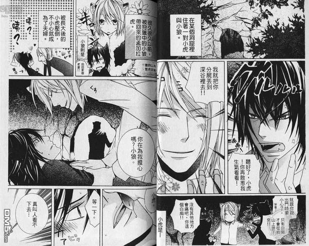 小虎与小狼[耽美]韩漫全集-第1卷无删减无遮挡章节图片 